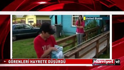 İKİ YÜZLÜ KEDİ GÖRENLERİ HAYRETE DÜŞÜRDÜ