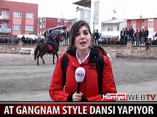 ERZURUM'DA GANGNAM STYLE DANSI YAPAN AT