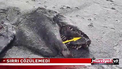 SIRRI ÇÖZÜLEMEDİ