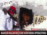 JANDARMA'DAN MAHSUR KALAN KEÇİ KURTARMA OPERASYONU
