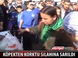 ADAPAZARI'NDA KÖPEKTEN KORKTU TABANCAYLA ATEŞ AÇTI