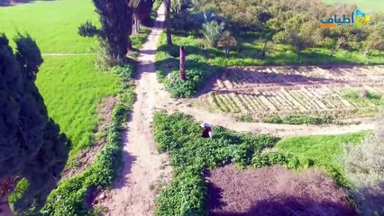 شاهد جمال غزة بعيداً عن الدمار مشاهد تصويرية رائعة التقطت بالطائرة - Regardez la beauté de Gaza loin de la destruction, de magnifiques scènes photographiques prises en avion