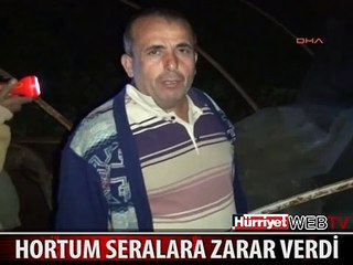 HORTUM SERALARA ZARAR VERDİ ELEKTRİK HATLARI KOPTU