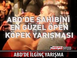 BU DA EN GÜZEL ÖPEN KÖPEK YARIŞMASI