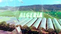 الجزائر ..ولاية وادي سوف الزراعية