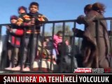 YOLDA GÖRENLER ŞAŞKINA DÖNDÜ