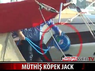 İŞTE MÜTHİŞ KÖPEĞİN GÖRÜNTÜLERİ