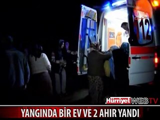 AKYAZI'NDA ÇIKAN YANGINDA BİR EV VE 2 AHIR YANDı