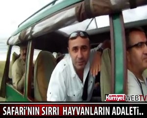 VAHŞİ AMA AÇ GÖZLÜ DEĞİL..