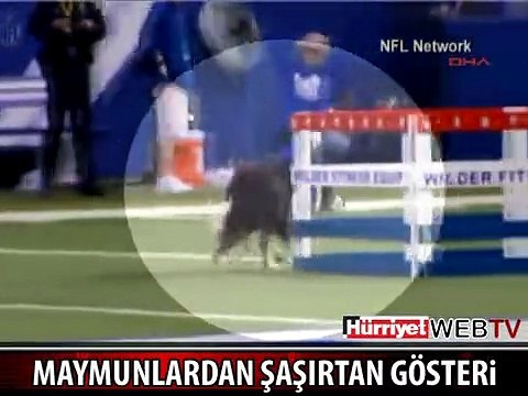 İZLEYENLERİ HAYRETE DÜŞÜREN GÖSTERİ