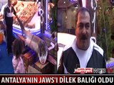 YAKALADIKLARI KÖPEK BALIĞINI DİLEK BALIĞI YAPTILAR