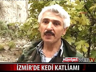 İZMİR'DE KEDİ KATLİAMI