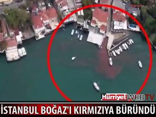 MEMLEKETİMDEN KURBAN MANZARALARI BÖLÜM 7- İSTANBUL BOĞAZ'I KAN AKTI