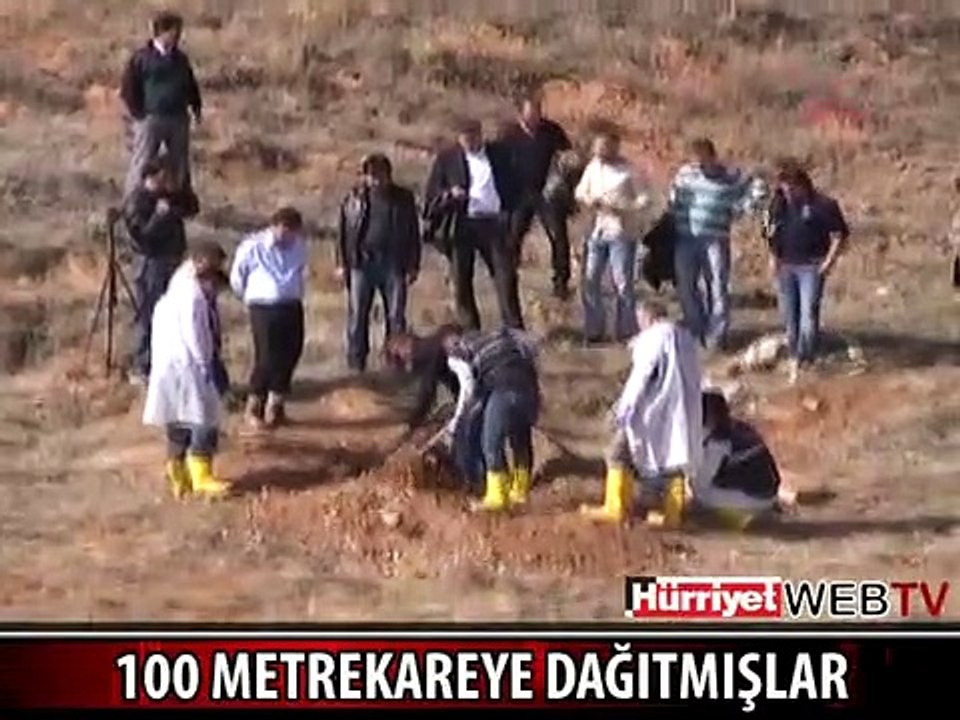 BUNUN ADI VAHŞET