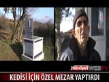 KEDİSİ İÇİN ÖZEL MEZAR YAPTIRDI