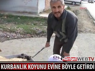 MEMLEKETİMDEN KURBAN MANZARALARI BÖLÜM 3-