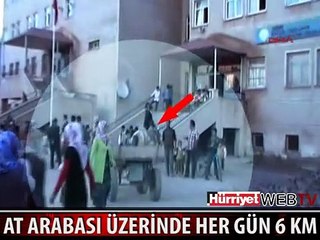 AT ARABASI ÜZERİNDE HER GÜN 6 KM YOL GİDİYORLAR