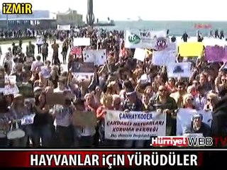 HAYVANLAR İÇİN YÜRÜDÜLER