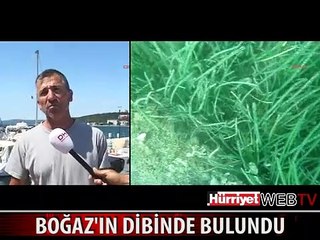3 METRE DERİNLİKTE BULUNDU
