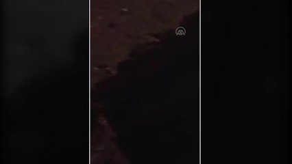 Karabük gündem haberleri... Karabük'te mazgal boşluğunda mahsur kalan kedi yavrusu kurtarıldı