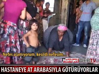 250 KİLOLUK KADIN AT ARABASIYLA HASTANEYE GÖTÜRÜLDÜ