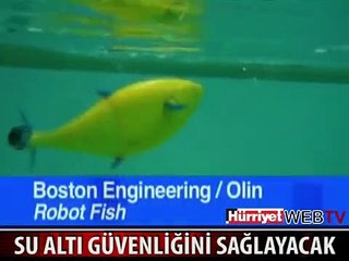 KARA SULARINI BU BALIK KORUYACAK