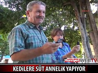 KEDİLERE ANNELİK YAPIYOR