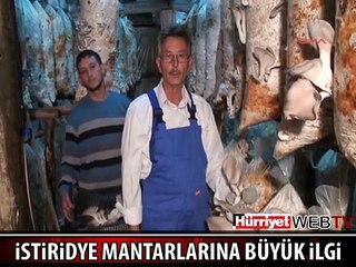 PARA KAZANMANIN YENİ YÖNTEMİNİ BULDU