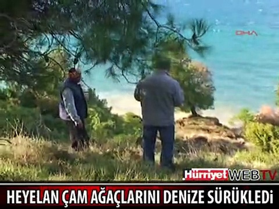 ÇAM AĞAÇLARI DENİZE SÜRÜKLENDİ