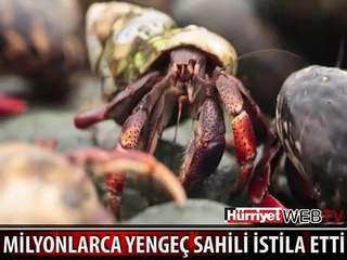 HER YANI YAVAŞ YAVAŞ BÖYLE SARDILAR