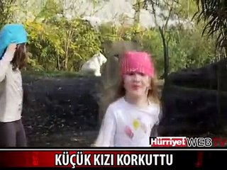 HAYATININ EN BÜYÜK ŞOKUNU YAŞADI