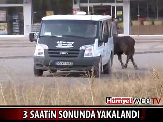 MEMLEKETİMDEN KURBAN MANZARALARI BÖLÜM 12