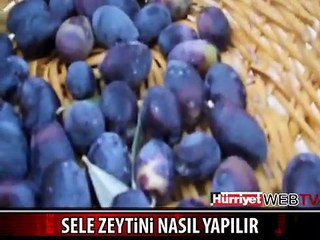İZAH EDEN ADAM: ORGANİK SELE ZEYTİNİ NASIL YAPILIR