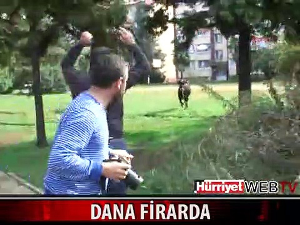 MEMLEKETİMDEN KURBAN MANZARALARI BÖLÜM 5- BU DA...