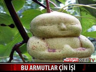 ÇİNLİLER BUNU DA YAPTI