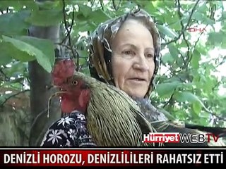 SESİ VATANDAŞLARI RAHATSIZ ETTİ