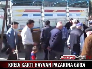 KREDİ KARTINA 12 AY TAKSİTLİ KURBANLIK