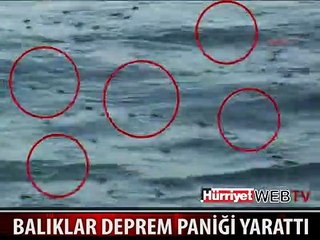 MARMARA DENİZİ'NDE KORKUTAN GÖRÜNTÜ