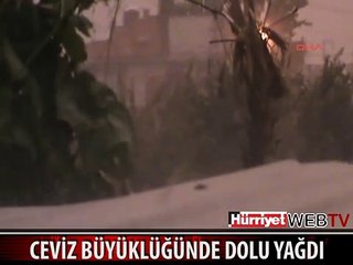 MUĞLA'DA CEVİZ BÜYÜKLÜĞÜNDE DOLU YAĞDI