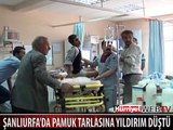 PAMUK TARLASINA YILDIRIM DÜŞTÜ: 3 YARALI