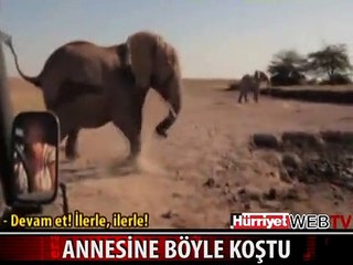 DÜNYANIN KONUŞTUĞU GÖRÜNTÜLER