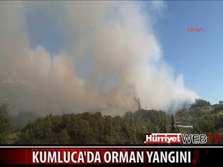 KUMLUCA'DA YANGIN YERLEŞİM YERLERİNİ TEHDİT EDİYOR