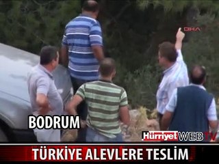 SABOTAJ MI? TÜRKİYE'NİN CİGERLERİ YANIYOR
