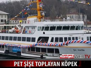 BU KÖPEĞİ DÜNYA KONUŞACAK (ÖZEL HABER)