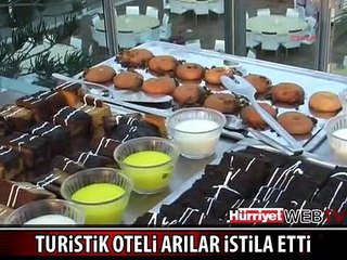 ALANYA'DA OTELİ ARILAR BASTI