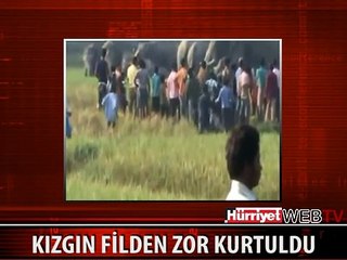 YAŞLI ADAM KIZGIN FİLDEN ZOR KURTULDU