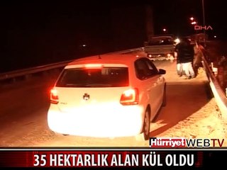 İNEGÖL'DE KORKUTAN ORMAN YANGINI