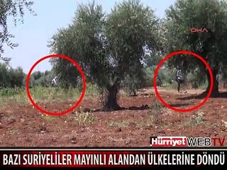 MAYINLI ALANDAN SURİYE'YE DÖNDÜLER