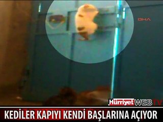 SUÇLU BAKIN KİM ÇIKTI