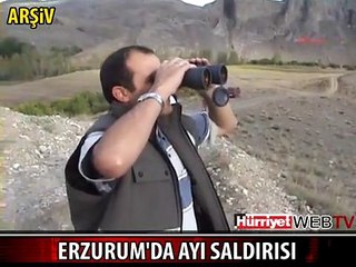 BİR AYI SALDIRISI DAHA